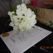 Bride's Bouquet, along with the marriage certificate that I made for the couple